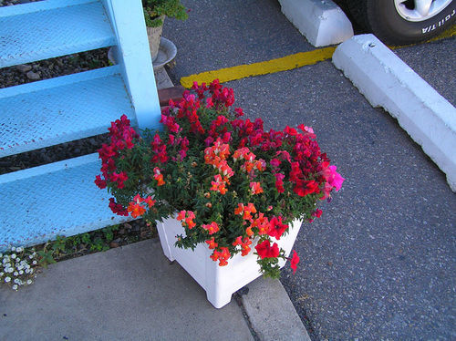 Hiway House Motel Albuquerque Kültér fotó